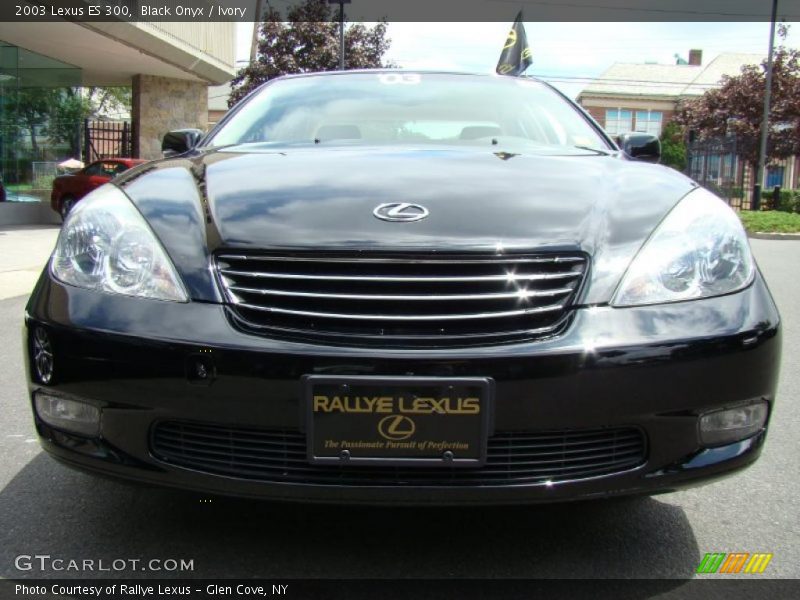 Black Onyx / Ivory 2003 Lexus ES 300