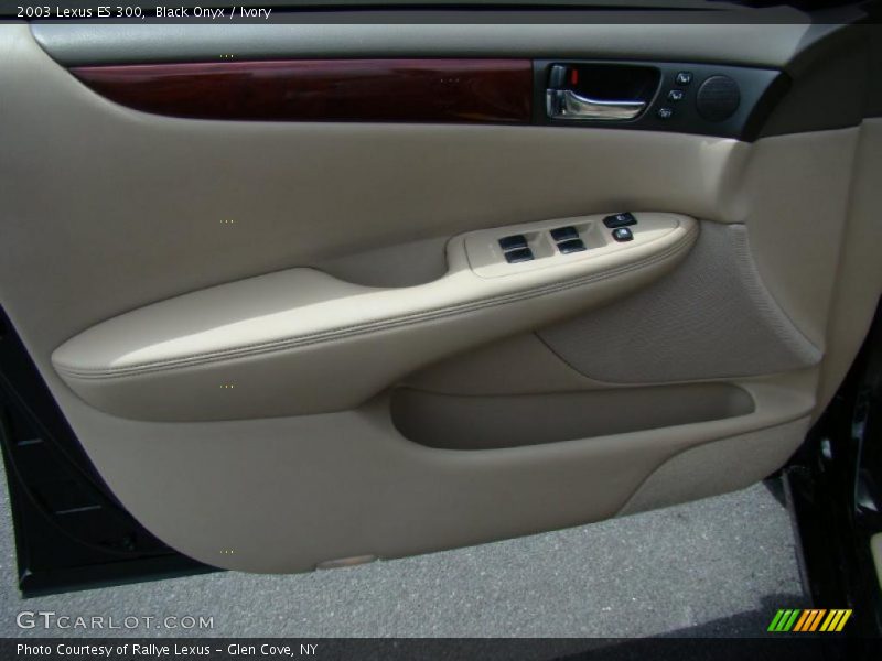 Black Onyx / Ivory 2003 Lexus ES 300