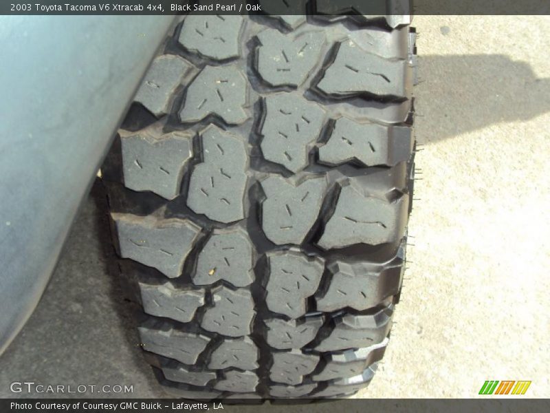 Black Sand Pearl / Oak 2003 Toyota Tacoma V6 Xtracab 4x4