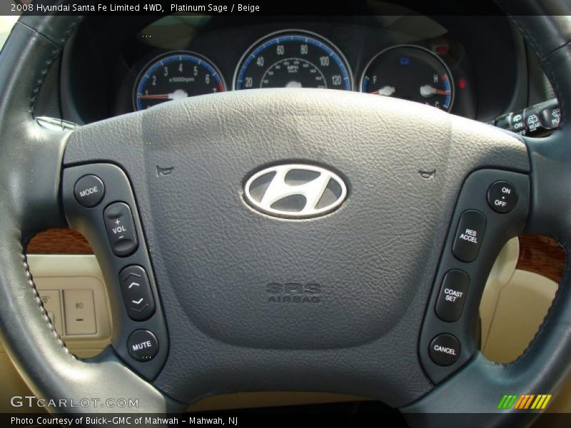 Platinum Sage / Beige 2008 Hyundai Santa Fe Limited 4WD