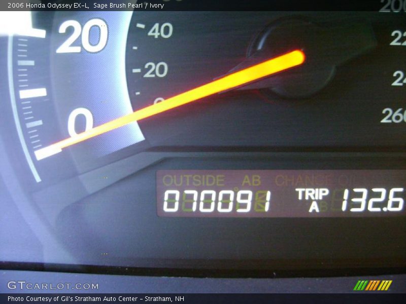 Sage Brush Pearl / Ivory 2006 Honda Odyssey EX-L