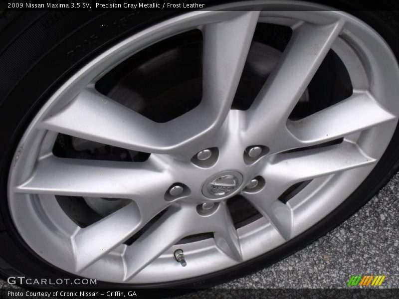 Precision Gray Metallic / Frost Leather 2009 Nissan Maxima 3.5 SV