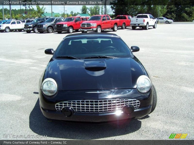Evening Black / Black Ink 2004 Ford Thunderbird Premium Roadster