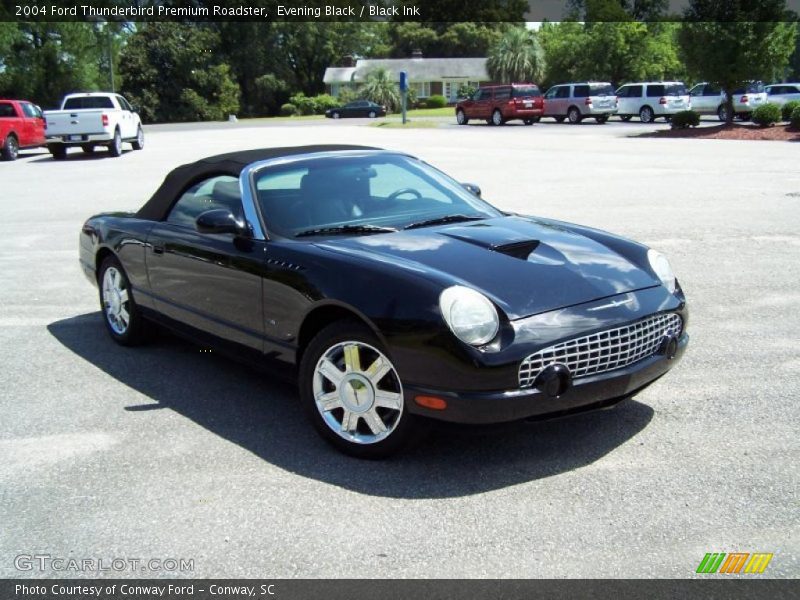 Evening Black / Black Ink 2004 Ford Thunderbird Premium Roadster