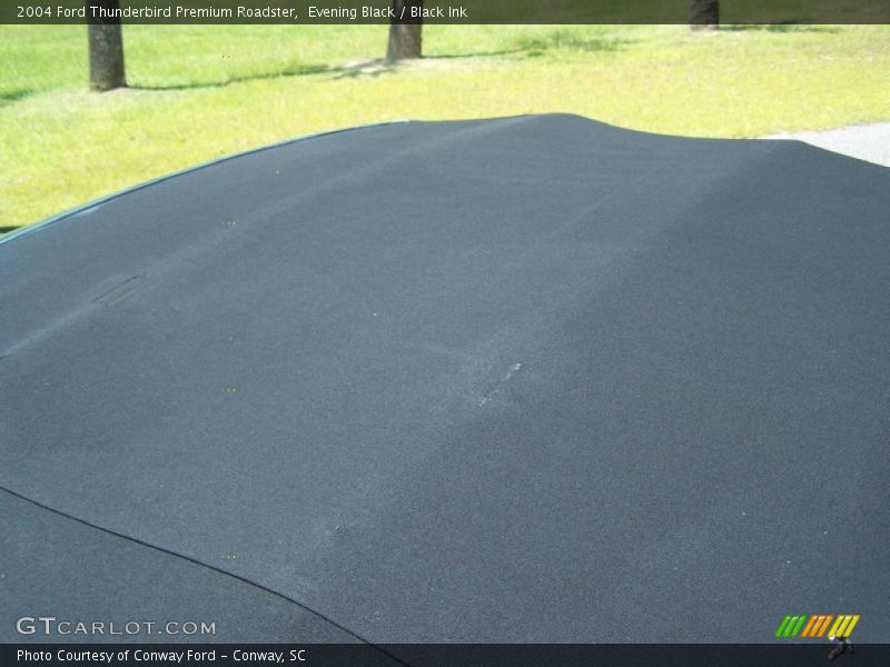 Evening Black / Black Ink 2004 Ford Thunderbird Premium Roadster