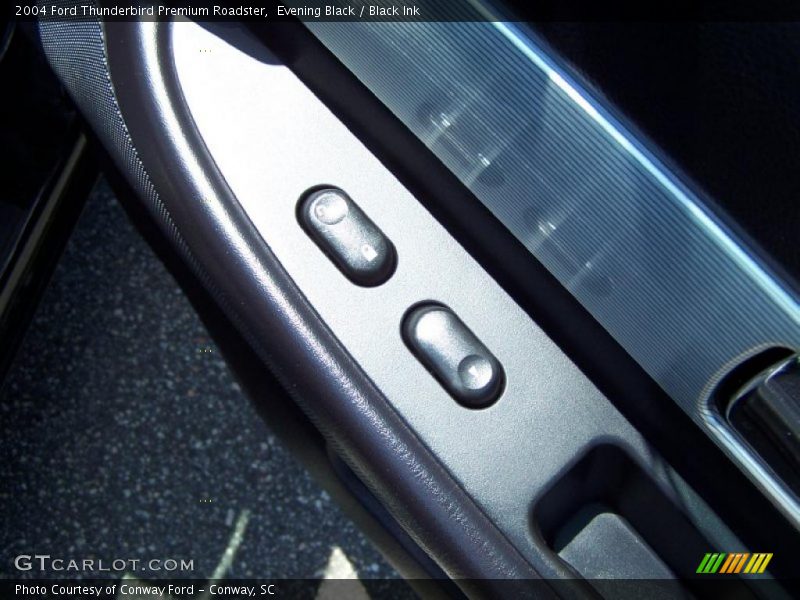 Evening Black / Black Ink 2004 Ford Thunderbird Premium Roadster