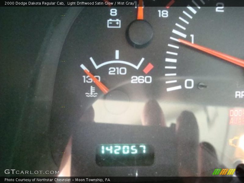 Light Driftwood Satin Glow / Mist Gray 2000 Dodge Dakota Regular Cab