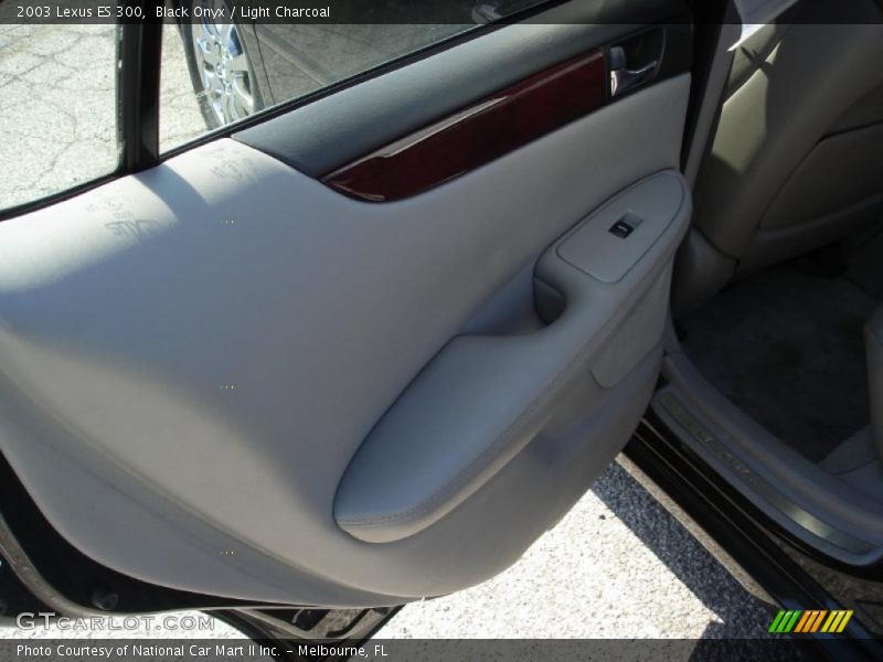 Black Onyx / Light Charcoal 2003 Lexus ES 300