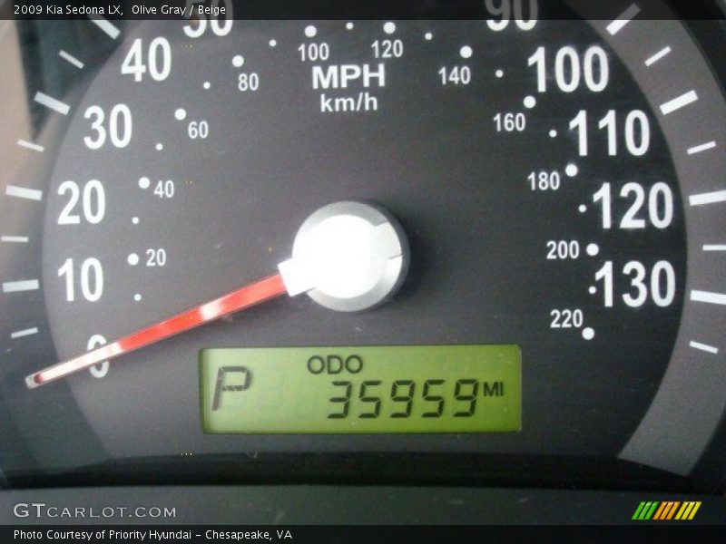 Olive Gray / Beige 2009 Kia Sedona LX