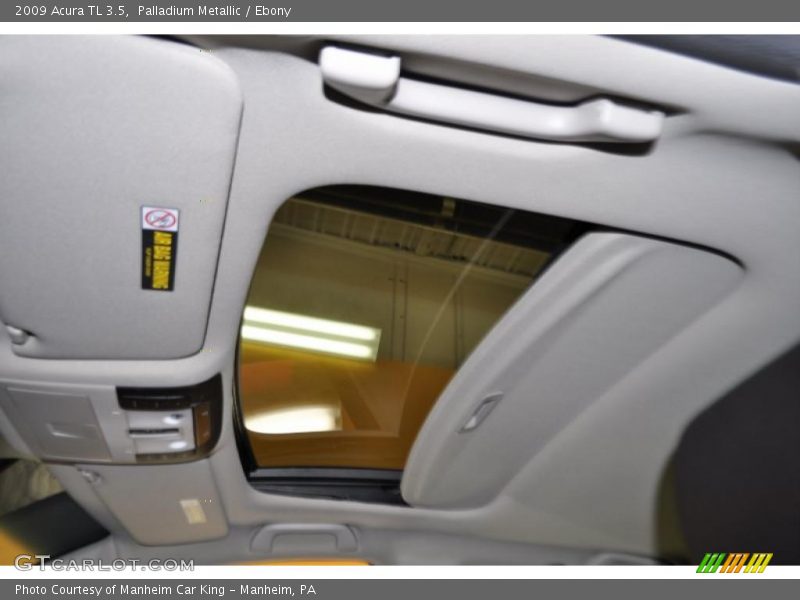 Palladium Metallic / Ebony 2009 Acura TL 3.5