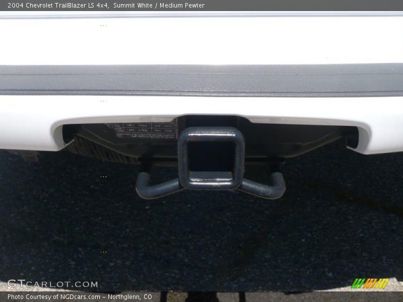 Summit White / Medium Pewter 2004 Chevrolet TrailBlazer LS 4x4