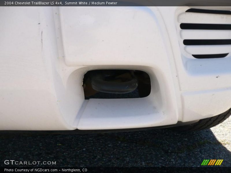 Summit White / Medium Pewter 2004 Chevrolet TrailBlazer LS 4x4