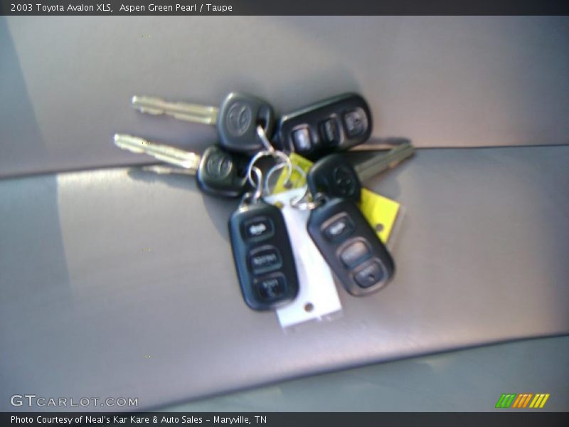 Aspen Green Pearl / Taupe 2003 Toyota Avalon XLS