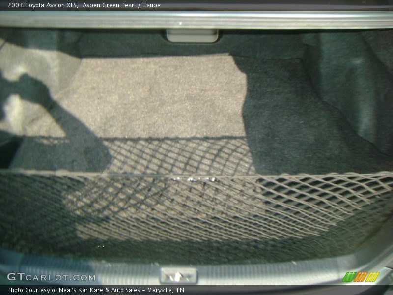 Aspen Green Pearl / Taupe 2003 Toyota Avalon XLS