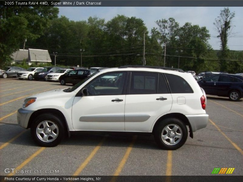 Super White / Dark Charcoal 2005 Toyota RAV4 4WD