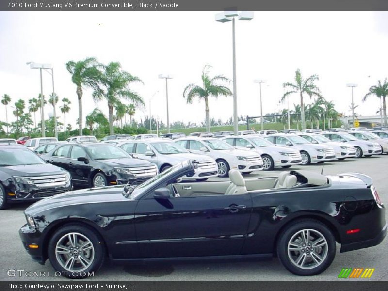 Black / Saddle 2010 Ford Mustang V6 Premium Convertible