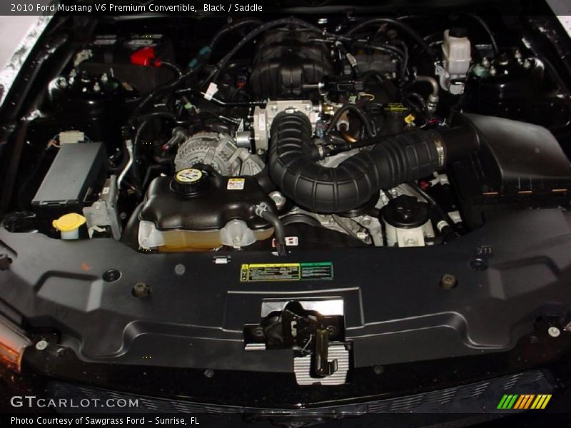 Black / Saddle 2010 Ford Mustang V6 Premium Convertible