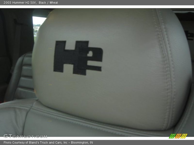 Black / Wheat 2003 Hummer H2 SUV