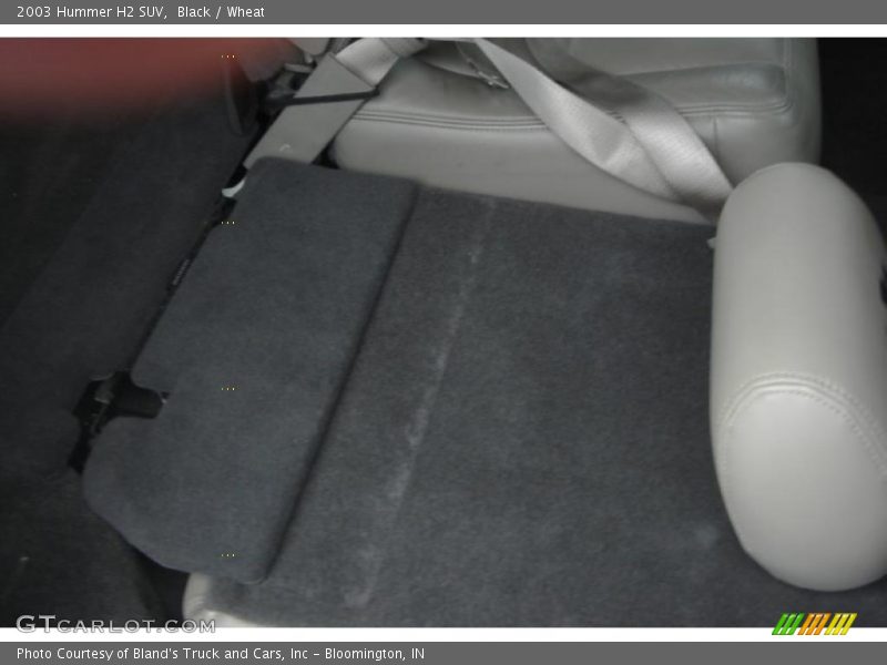 Black / Wheat 2003 Hummer H2 SUV