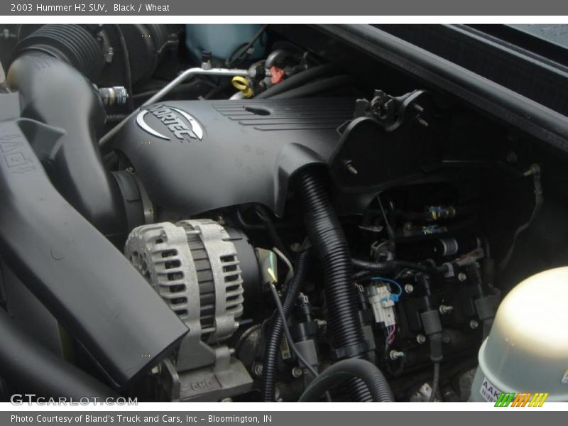 Black / Wheat 2003 Hummer H2 SUV