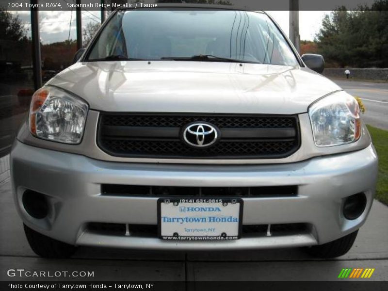 Savannah Beige Metallic / Taupe 2004 Toyota RAV4