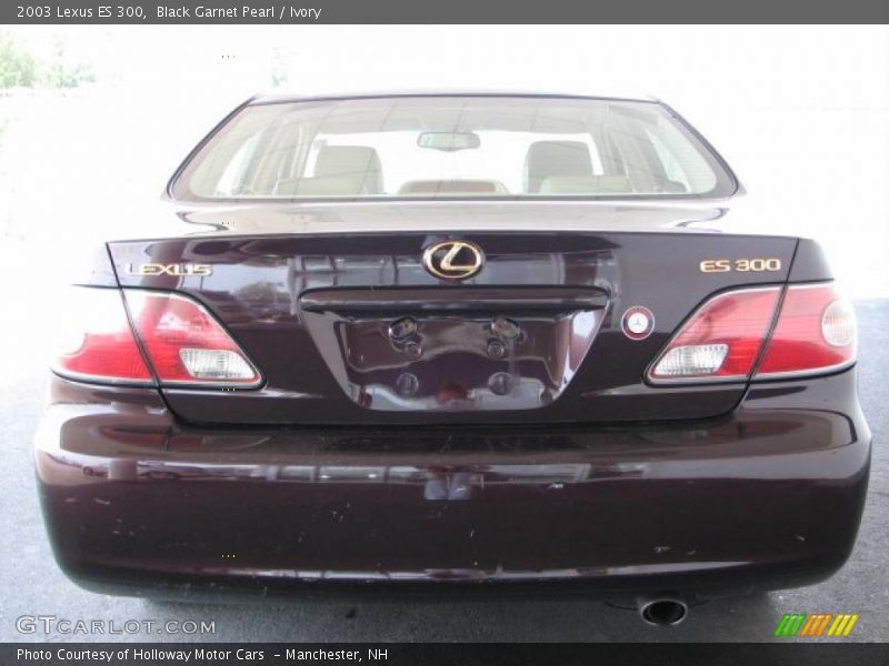 Black Garnet Pearl / Ivory 2003 Lexus ES 300