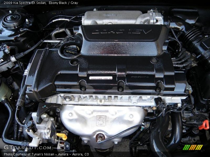 Ebony Black / Gray 2009 Kia Spectra EX Sedan