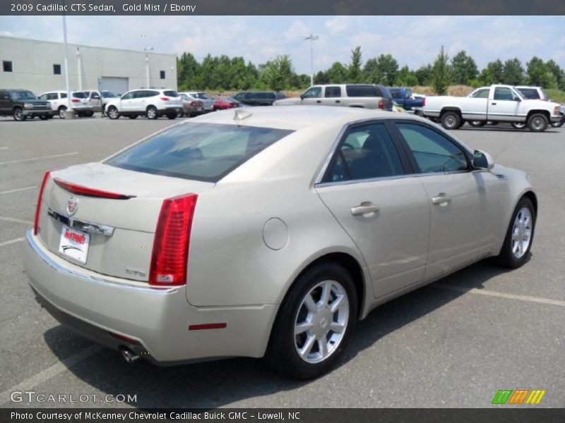 Gold Mist / Ebony 2009 Cadillac CTS Sedan