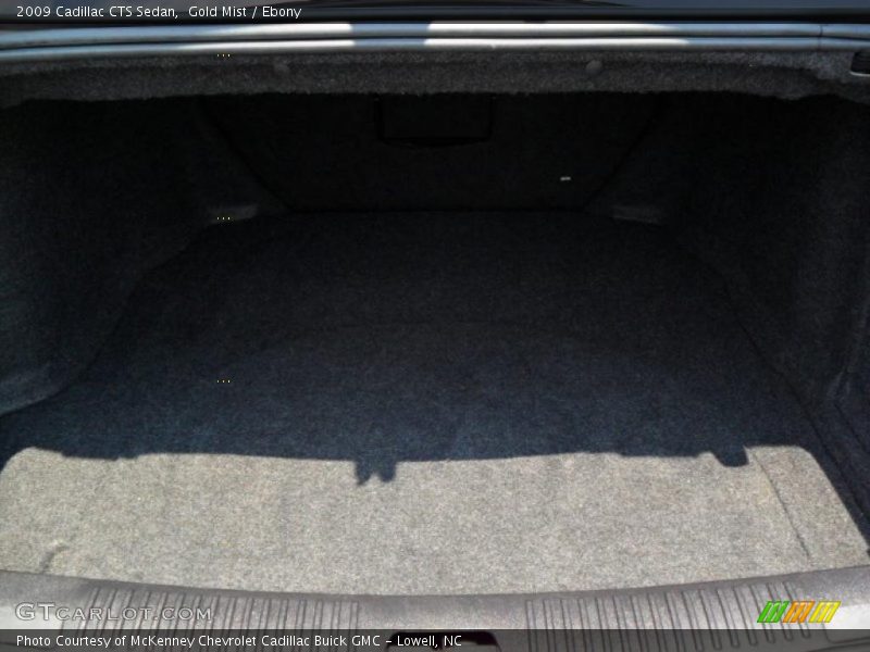 Gold Mist / Ebony 2009 Cadillac CTS Sedan