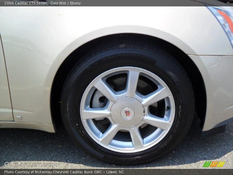 Gold Mist / Ebony 2009 Cadillac CTS Sedan