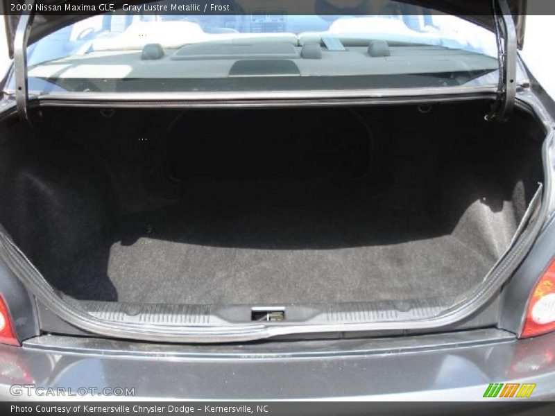 Gray Lustre Metallic / Frost 2000 Nissan Maxima GLE