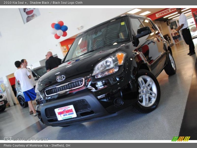 Shadow Black / Black Soul Logo Cloth 2010 Kia Soul +