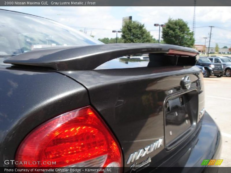 Gray Lustre Metallic / Frost 2000 Nissan Maxima GLE