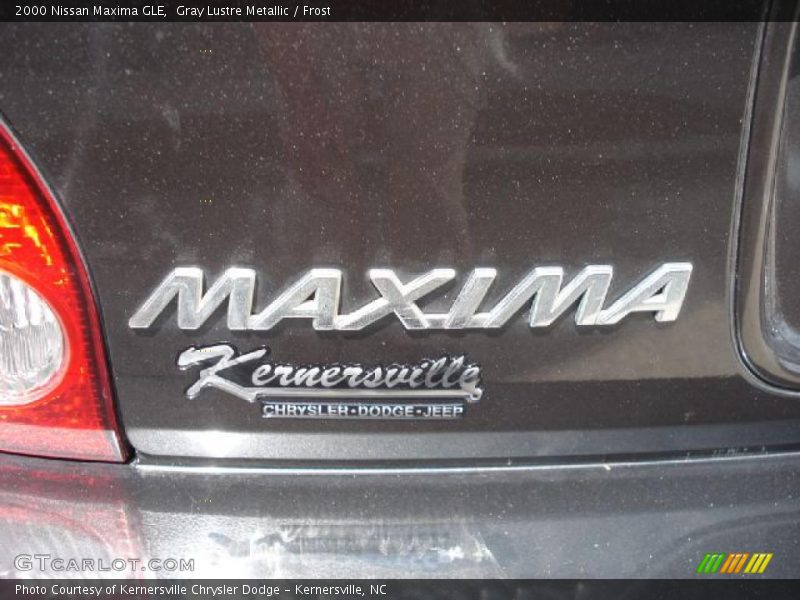 Gray Lustre Metallic / Frost 2000 Nissan Maxima GLE