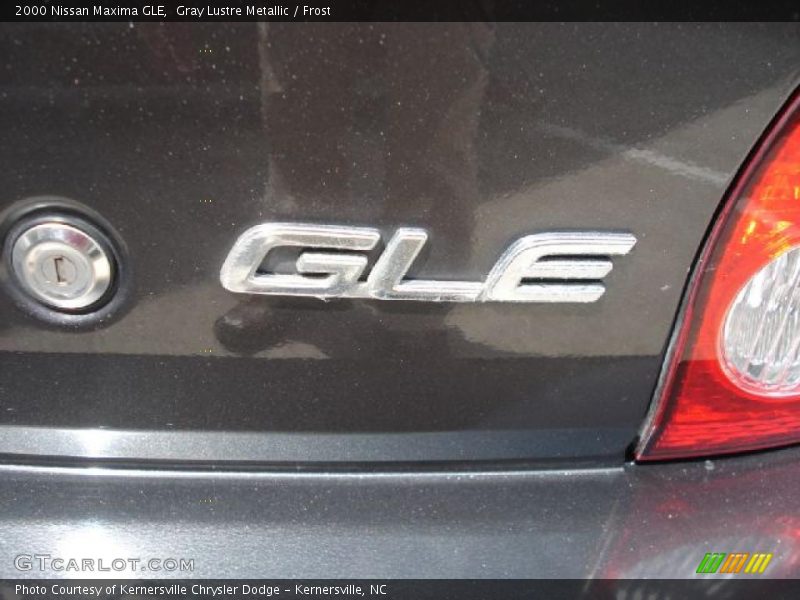 Gray Lustre Metallic / Frost 2000 Nissan Maxima GLE