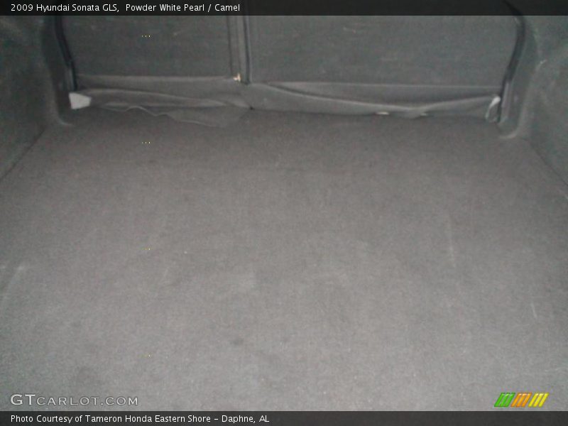 Powder White Pearl / Camel 2009 Hyundai Sonata GLS