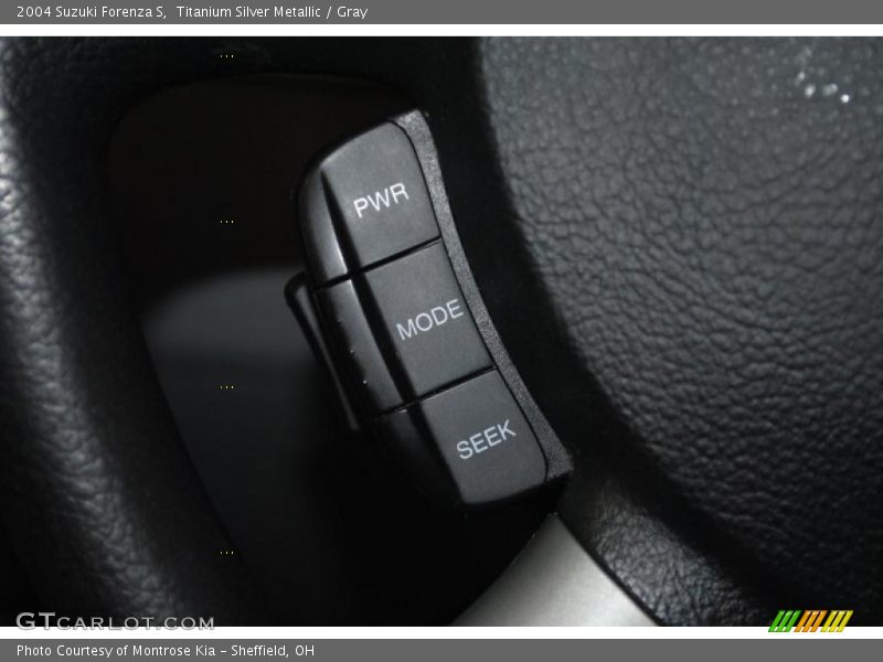 Titanium Silver Metallic / Gray 2004 Suzuki Forenza S