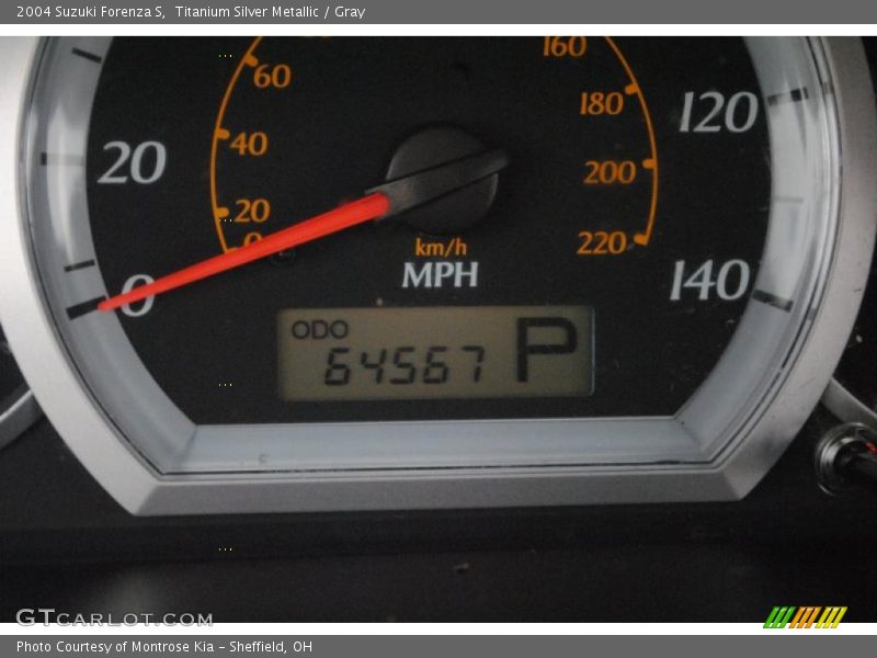 Titanium Silver Metallic / Gray 2004 Suzuki Forenza S