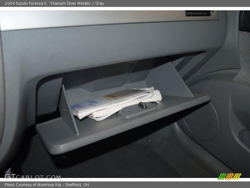 Titanium Silver Metallic / Gray 2004 Suzuki Forenza S