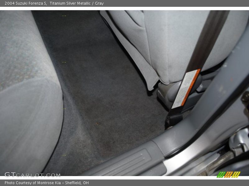 Titanium Silver Metallic / Gray 2004 Suzuki Forenza S