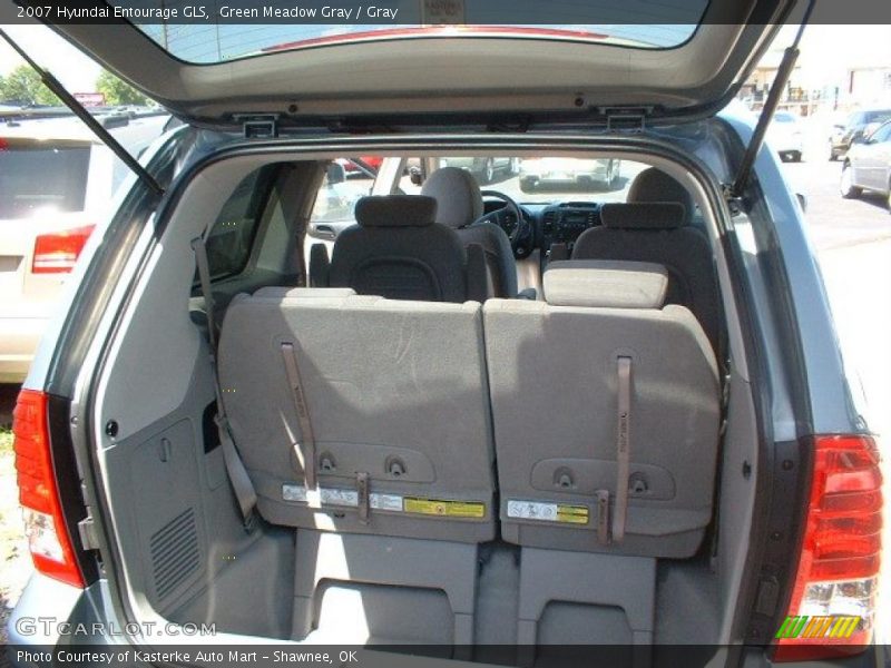 Green Meadow Gray / Gray 2007 Hyundai Entourage GLS
