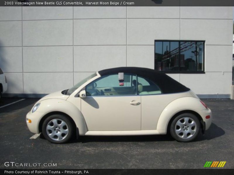 Harvest Moon Beige / Cream 2003 Volkswagen New Beetle GLS Convertible
