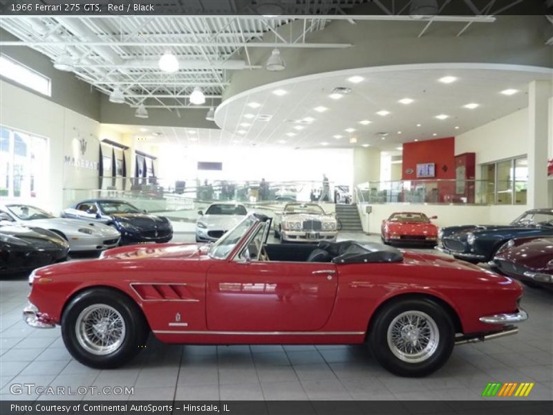 Red / Black 1966 Ferrari 275 GTS