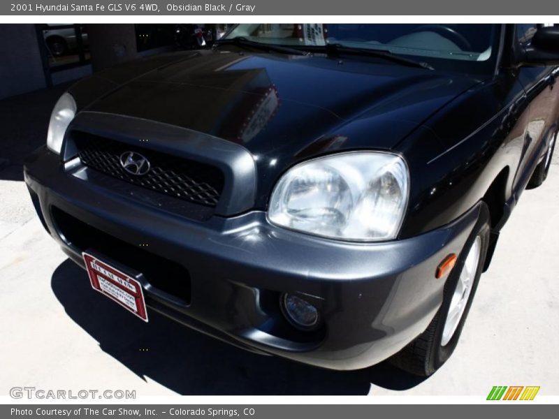 Obsidian Black / Gray 2001 Hyundai Santa Fe GLS V6 4WD