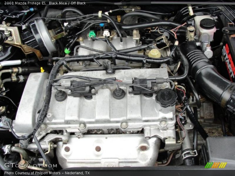Black Mica / Off Black 2001 Mazda Protege ES