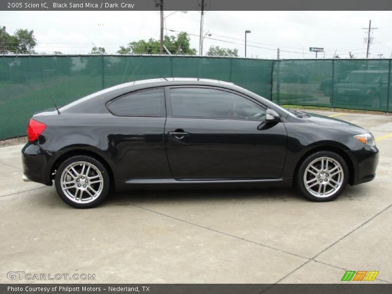 Black Sand Mica / Dark Gray 2005 Scion tC