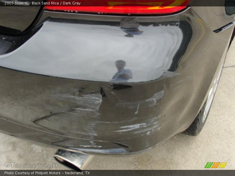 Black Sand Mica / Dark Gray 2005 Scion tC