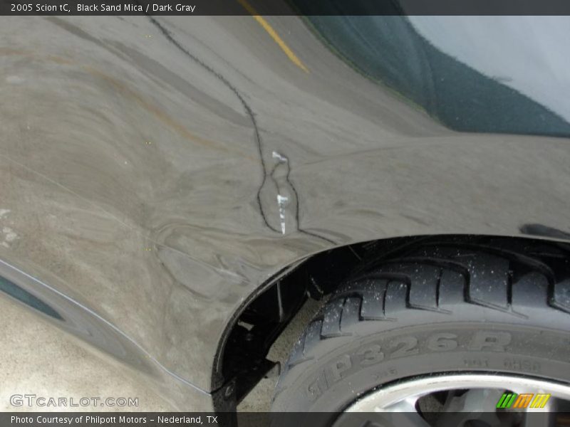Black Sand Mica / Dark Gray 2005 Scion tC