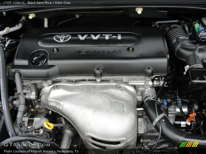 Black Sand Mica / Dark Gray 2005 Scion tC