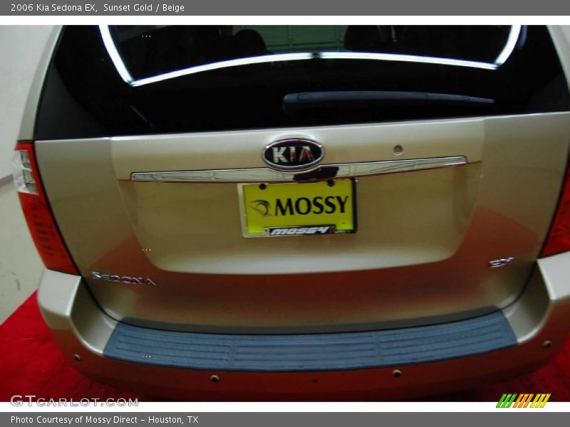 Sunset Gold / Beige 2006 Kia Sedona EX
